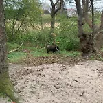 Adare Δωμάτια σε οικογενειακή κατοικία *