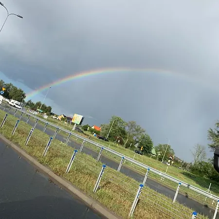 ホームステイ Adare *