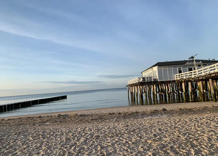 Adare * 尤斯托尼莫斯基