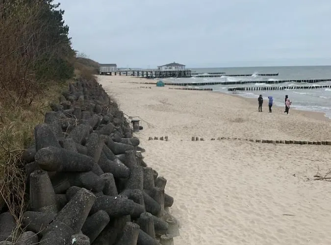 Adare 尤斯托尼莫斯基